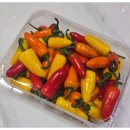 고향자녀농장 | 6시내고향 함안 긴 파프리카