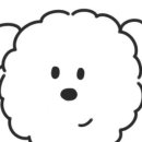 코아애견 이미지