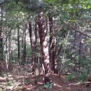 신의한수농장 이미지