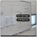 이레미용재료