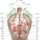 손의 지압 이미지