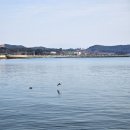 수산나드리