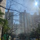 태장체육단지 | [공지] 수원 신혼부부 집구하기 - 동수원자이2차 아파트 35평 임장 후기