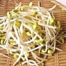 해술콩나물국밥 이미지