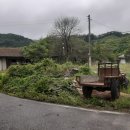 노은면사무소 이미지