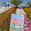 13개월 아기와 함평 나비대축제 다녀온 후기 | 돌아기 국내여행 봄축제 기록