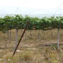 단산우체국 이미지