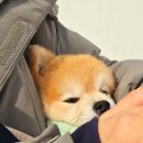 리앤드딩 이미지