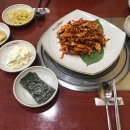 조가네갑오징어 이미지