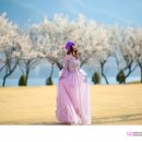 매화공원 티스토리