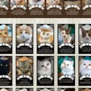 집사의하루 강남점 이미지