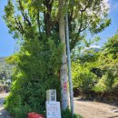 웅비공단길 이미지