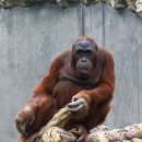 서울대공원 이미지