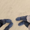 함께걷기 로뎀나무지역아동센터 | 돗토리 사구 여행 코스 전망대 → 모래미술관 → 사구 순서가 좋은 이유.