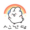 애견수족관 이미지