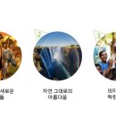 주주여행사 이미지