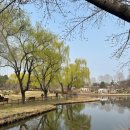 용산가족공원 이미지