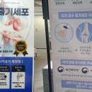 무릎 줄기세포주사 실비 급증… 보험업계 손해율 오를라 ‘애간장’ 이미지