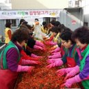 사랑포도원
