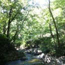 월등보건지소 이미지