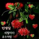 2월에 첫째날 이미지