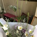 카페 클로버 이미지