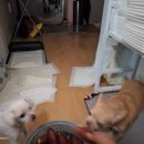 드르와 Daum카페