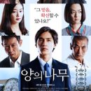 브레드나무 이미지