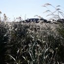 번영로길 이미지