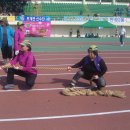 안성시종합운동장 이미지