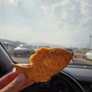 오일시장 체육공원 | 양양 오일장 처음 가는 사람 필독 날짜 먹거리 주차 팁 모음