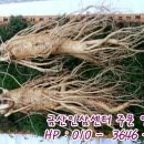 인삼당