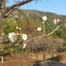 매화한의원 이미지