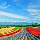 농성역하모니예술단 이미지