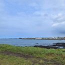 제주알(R)호텔 이미지