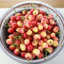 남산농장 이미지