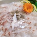 감탄집 | 제주 서귀포 중문횟집 서쪽직판장 고급 일식집 퀼리티에 감탄한 농어회 포장 후기