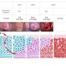 이현주산부인과의원 이미지