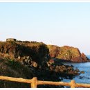 렌트투어 이미지