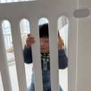 (주)필룸하이 | 15개월 아이 아지트 크림하우스 하이프리 베이비룸