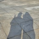 완도타워 | 탁 트인 바다뷰 즐기기 좋은 완도타워 방문기