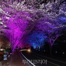 강진허브 이미지