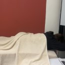 청초바이오 이미지