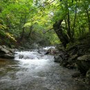 용오름산장 이미지