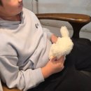 고양이집사 | 실내데이트추천 부산 고양이 카페 커피파는 집사 방문후기