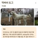 안중관광여행사 | 🇹🇷🧿메르하바 튀르키예 3일차: 카파도키아 지프 투어/로즈밸리/항아리케밥/파샤바/괴레메 야외박물관...