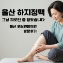 울산연합의원 | 울산하지정맥, 그냥 피로라고 넘겼다가 후회할 뻔했습니다