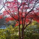 스포원파크 이미지