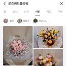 로즈버드플라워 이미지