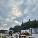 영희목장 이미지